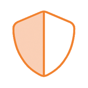 ICON_Security Services