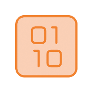 ICON_Software Services